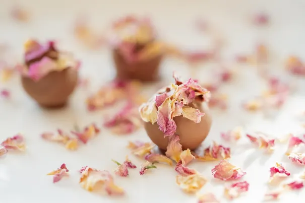 Casino Chilli Spins Android/iOS-app